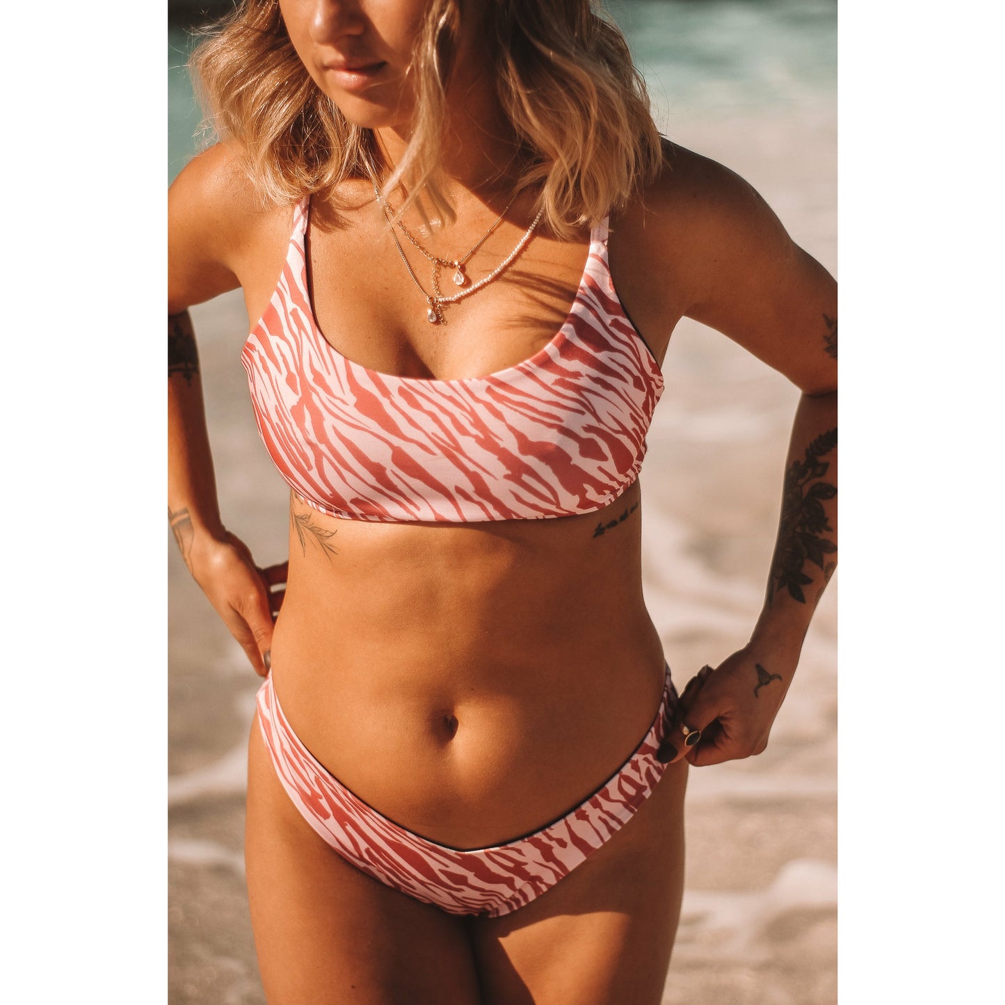 Top Descubre Zebra Rose